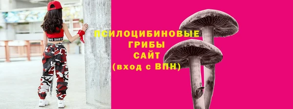 прущая мука Верхний Тагил